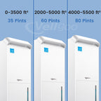 Vellgoo Energy Star Dehumidifier - Decor by Handbags Specialist Headquarter | Available at Handbags Specialist Headquarter