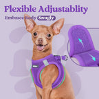 BunnyStep: Reflective Mesh Harness for Small Dogs -  by Handbags Specialist Headquarter | Available at Handbags Specialist Headquarter