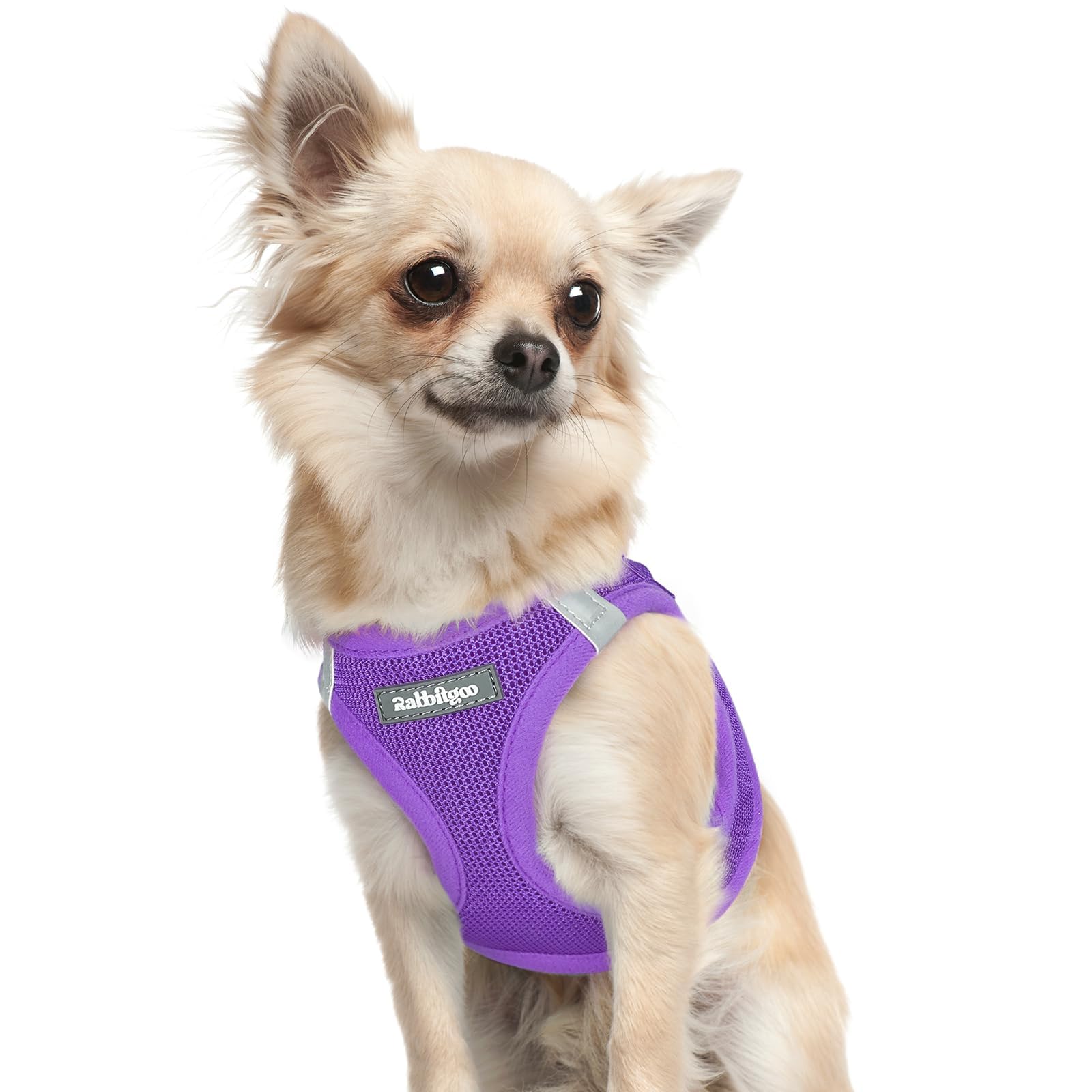 BunnyStep: Reflective Mesh Harness for Small Dogs -  by Handbags Specialist Headquarter | Available at Handbags Specialist Headquarter