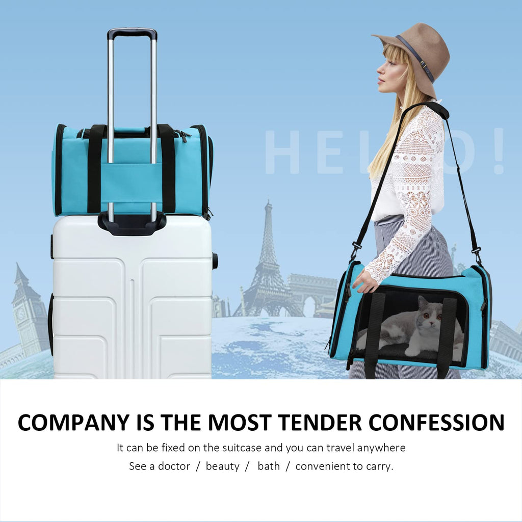 PawsVoyage: Grey TSA-Approved Pet Carrier (15lbs Max) -  by Handbags Specialist Headquarter | Available at Handbags Specialist Headquarter