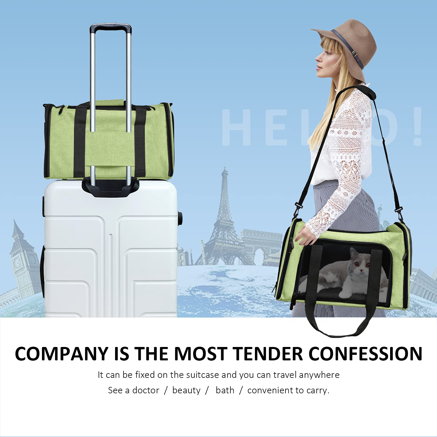 PawsVoyage: Grey TSA-Approved Pet Carrier (15lbs Max) -  by Handbags Specialist Headquarter | Available at Handbags Specialist Headquarter