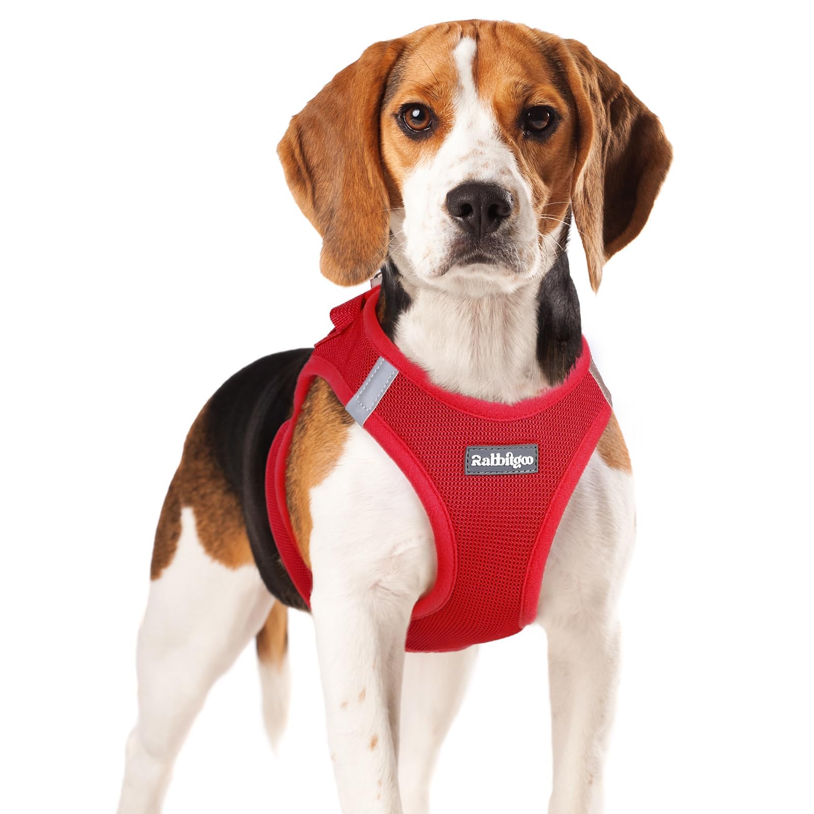 BunnyStep: Reflective Mesh Harness for Small Dogs -  by Handbags Specialist Headquarter | Available at Handbags Specialist Headquarter