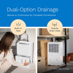 hOmeLabs Smart 50 Pint Dehumidifier 7000 Sq Ft - Decor by Handbags Specialist Headquarter | Available at Handbags Specialist Headquarter