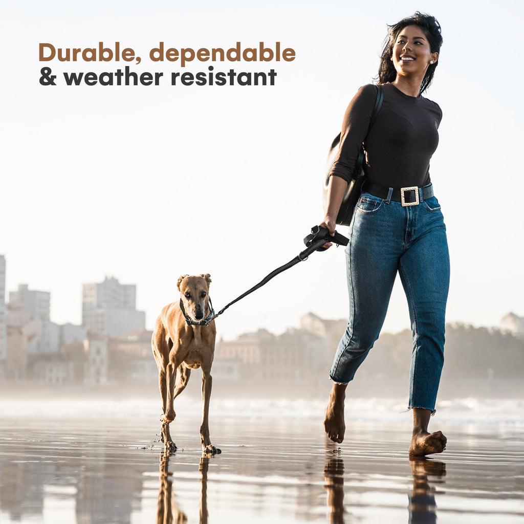 RhinoGrip Aqua: Double Handle Reflective Dog Leash -  by Handbags Specialist Headquarter | Available at Handbags Specialist Headquarter