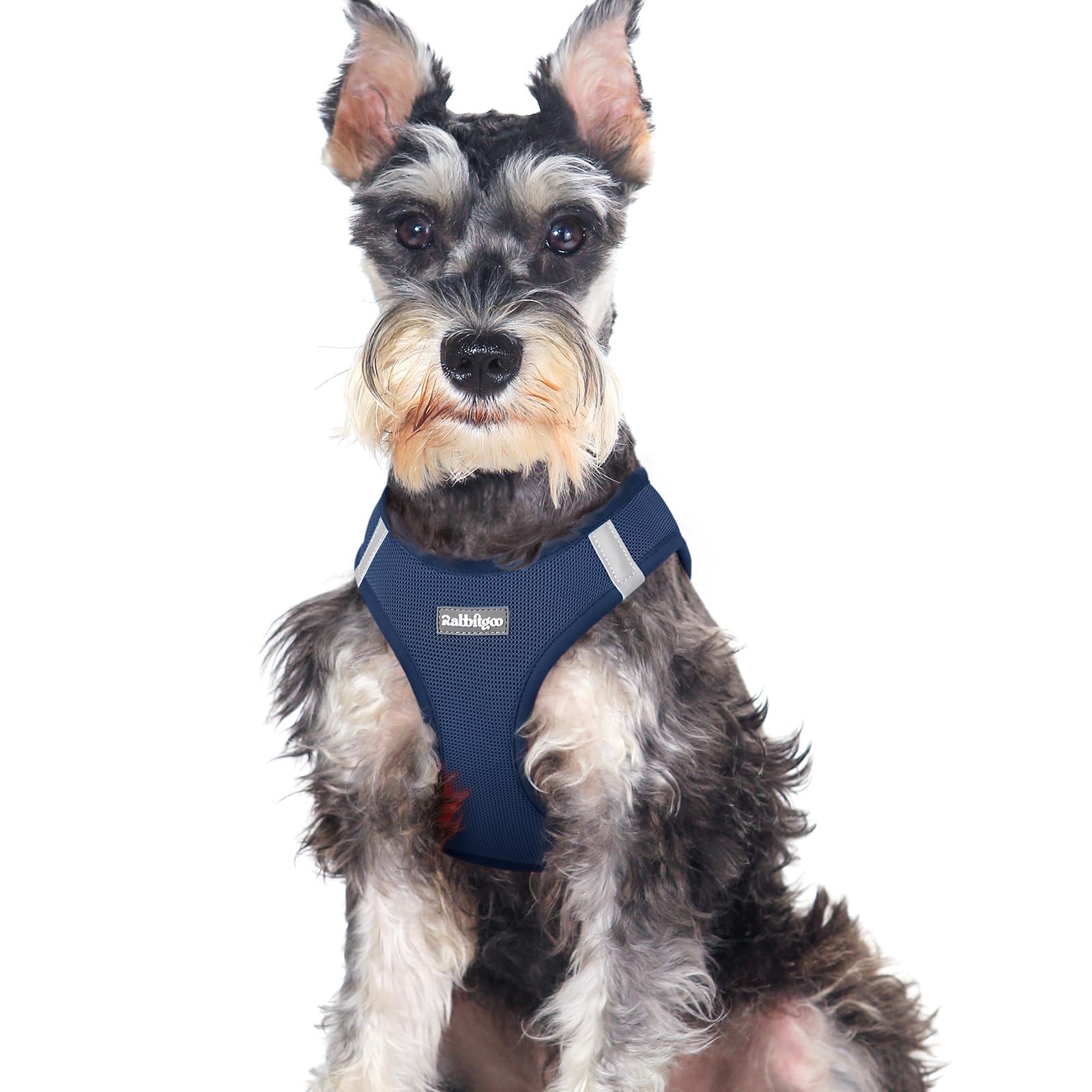 BunnyStep: Reflective Mesh Harness for Small Dogs -  by Handbags Specialist Headquarter | Available at Handbags Specialist Headquarter