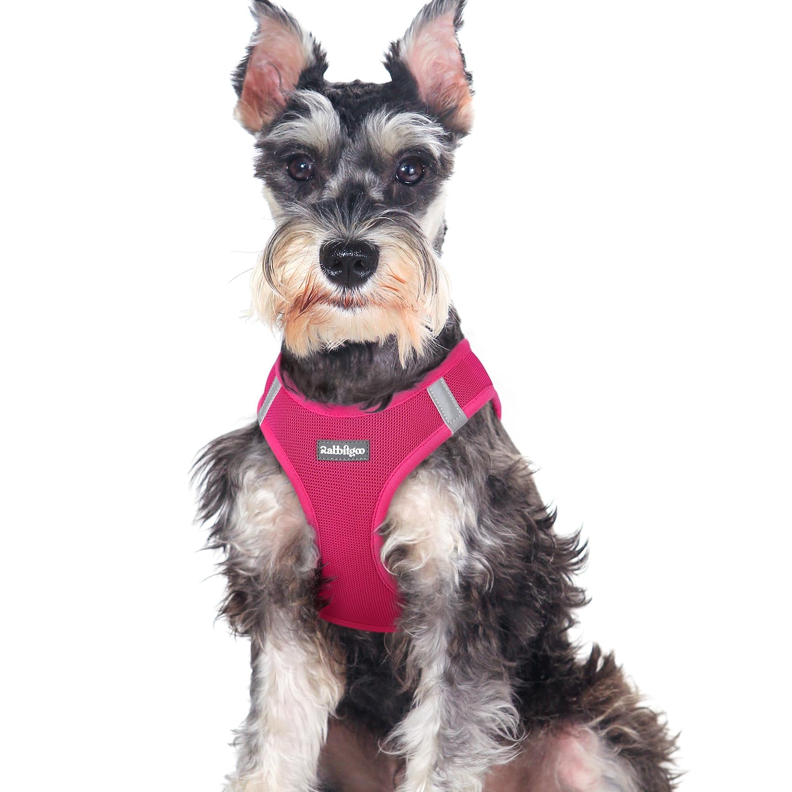 BunnyStep: Reflective Mesh Harness for Small Dogs -  by Handbags Specialist Headquarter | Available at Handbags Specialist Headquarter