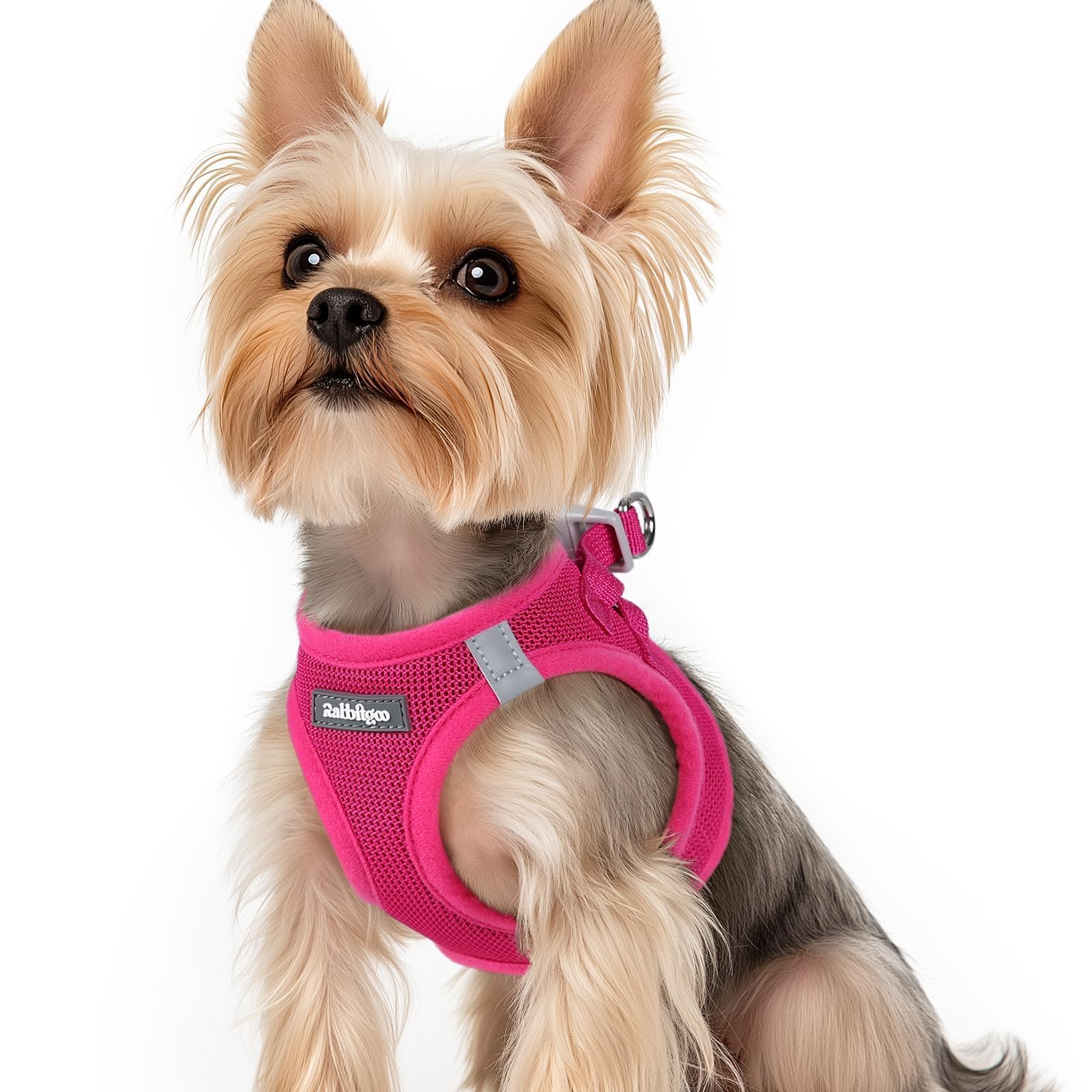 BunnyStep: Reflective Mesh Harness for Small Dogs -  by Handbags Specialist Headquarter | Available at Handbags Specialist Headquarter
