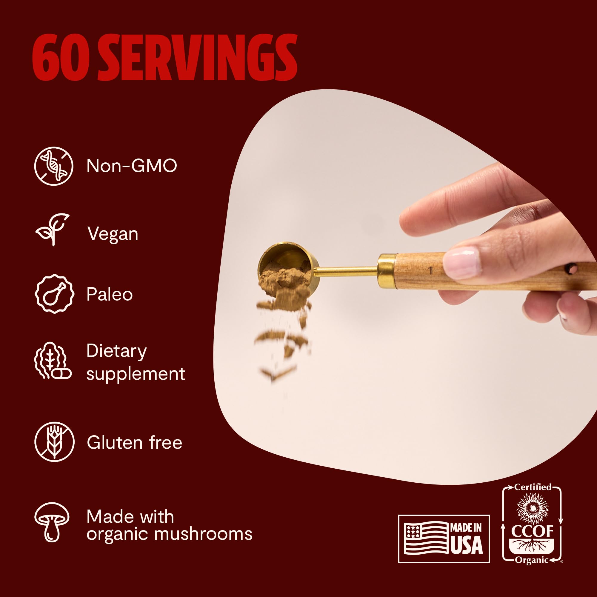 MushroomMind: Ultimate Nootropic Focus Formula - Health-Care by Handbags Specialist Headquarter | Available at Handbags Specialist Headquarter