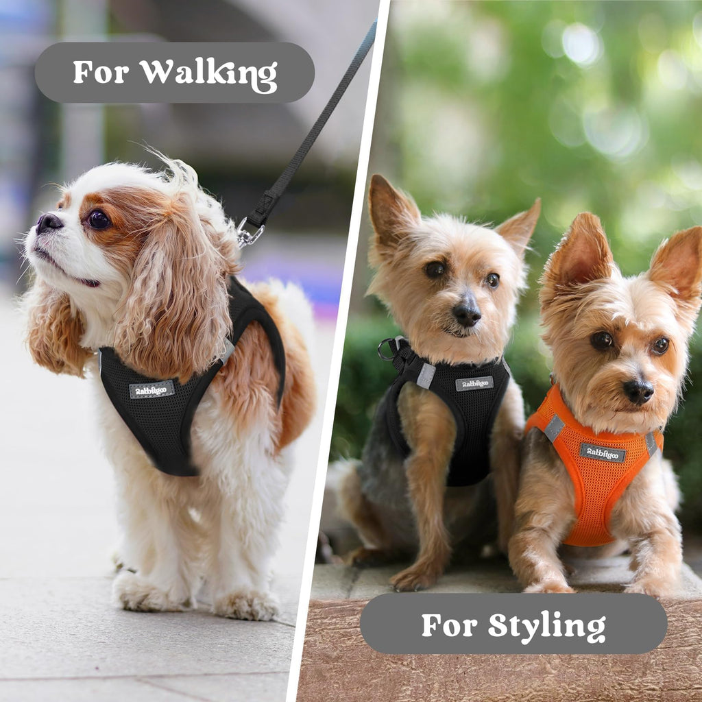 BunnyStep: Reflective Mesh Harness for Small Dogs -  by Handbags Specialist Headquarter | Available at Handbags Specialist Headquarter