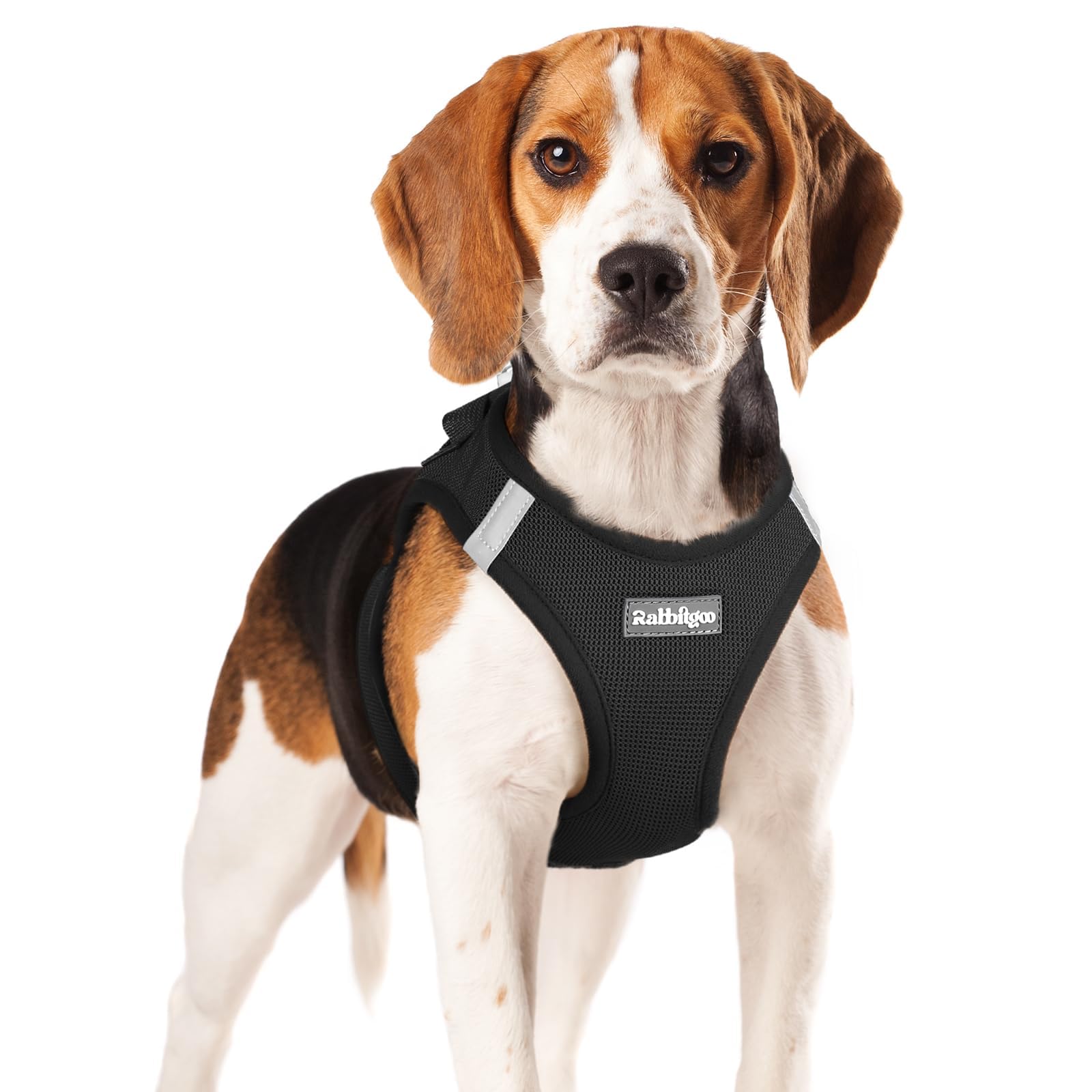 BunnyStep: Reflective Mesh Harness for Small Dogs -  by Handbags Specialist Headquarter | Available at Handbags Specialist Headquarter