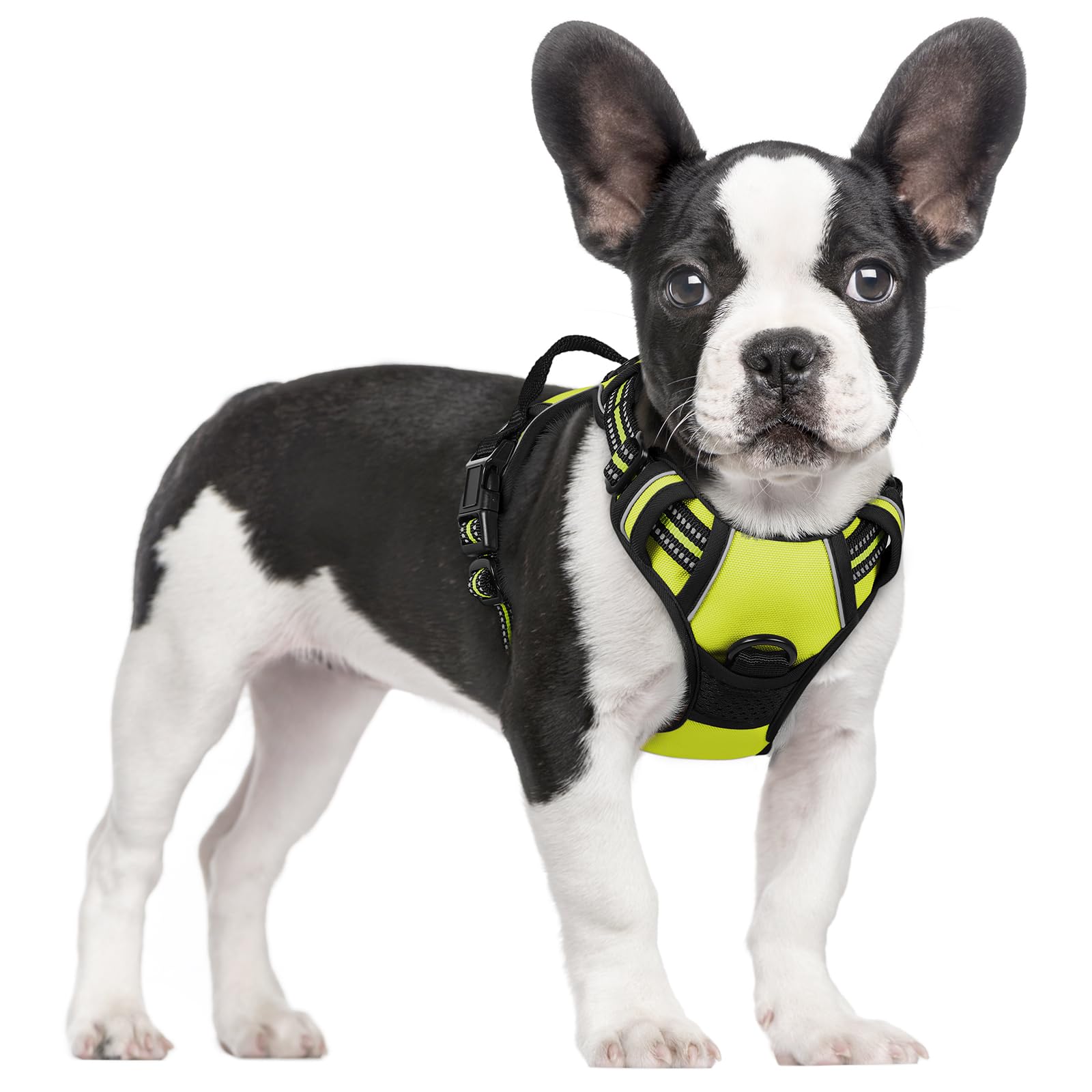 PawGuard No-Pull Reflective Dog Harness - Large Black -  by Handbags Specialist Headquarter | Available at Handbags Specialist Headquarter