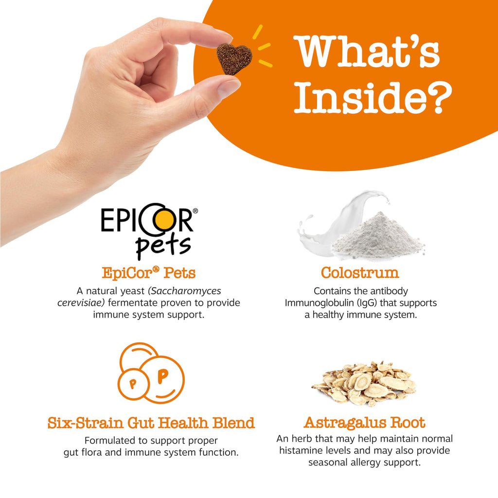 Zesty Paws Itch & Allergy Relief Chews - Lamb 90ct -  by Handbags Specialist Headquarter | Available at Handbags Specialist Headquarter