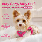 BunnyStep: Reflective Mesh Harness for Small Dogs -  by Handbags Specialist Headquarter | Available at Handbags Specialist Headquarter