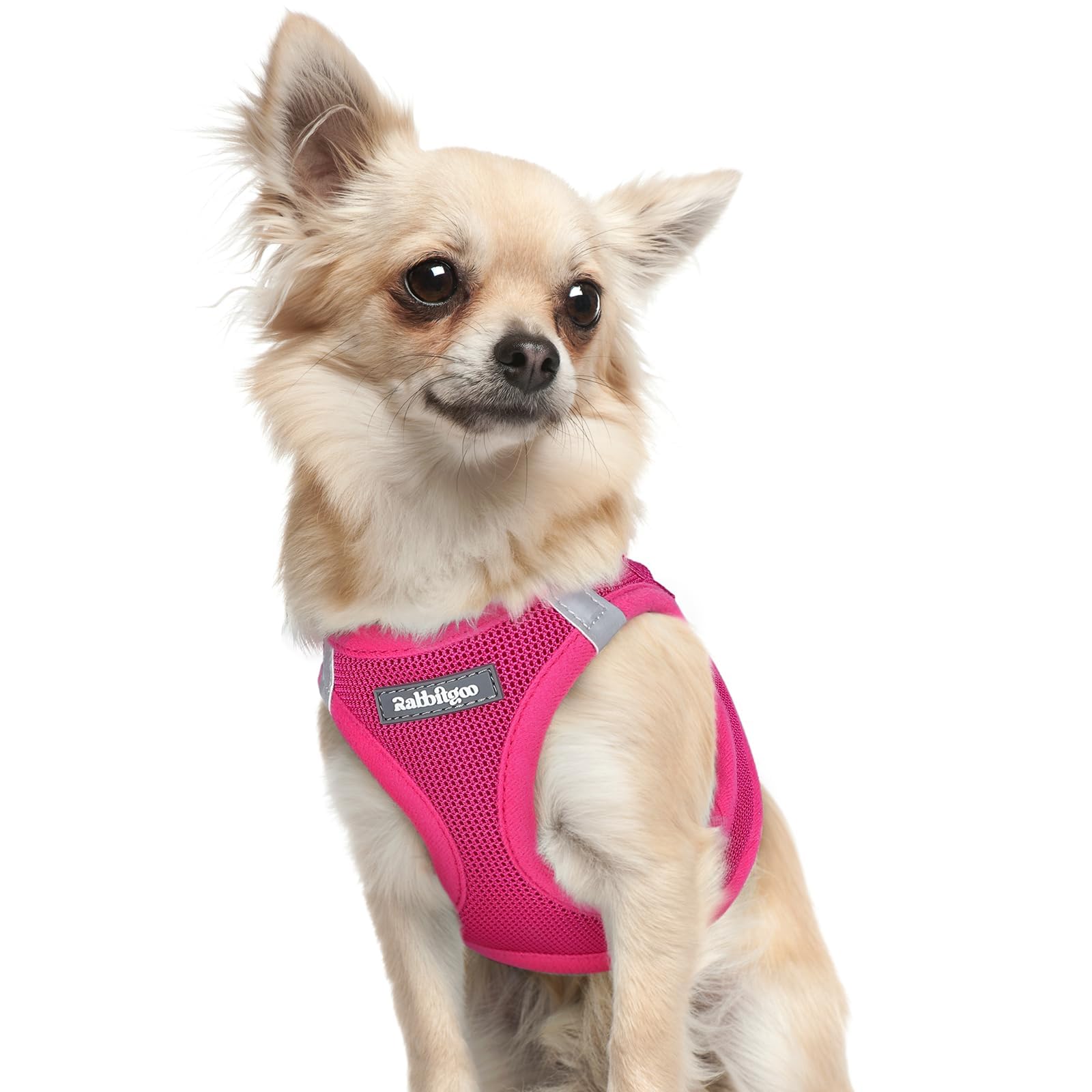 BunnyStep: Reflective Mesh Harness for Small Dogs -  by Handbags Specialist Headquarter | Available at Handbags Specialist Headquarter
