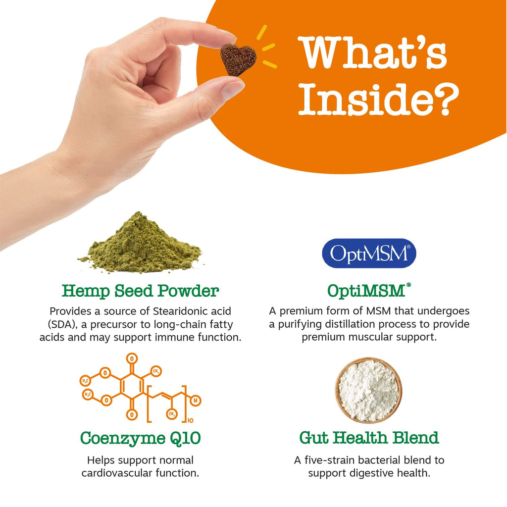 PawZest Omega Multivitamin Chews - Senior & Puppy -  by Handbags Specialist Headquarter | Available at Handbags Specialist Headquarter