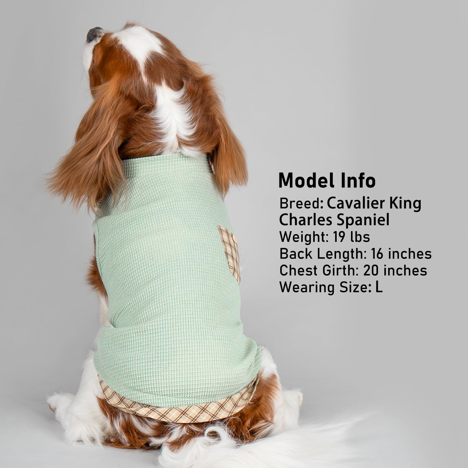 PlaidPup Waffle Vest: Soft, Stretchy, & Cute! - Pet Supplies by Handbags Specialist Headquarter | Available at Handbags Specialist Headquarter