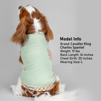 PlaidPup Waffle Vest: Soft, Stretchy, & Cute! - Pet Supplies by Handbags Specialist Headquarter | Available at Handbags Specialist Headquarter