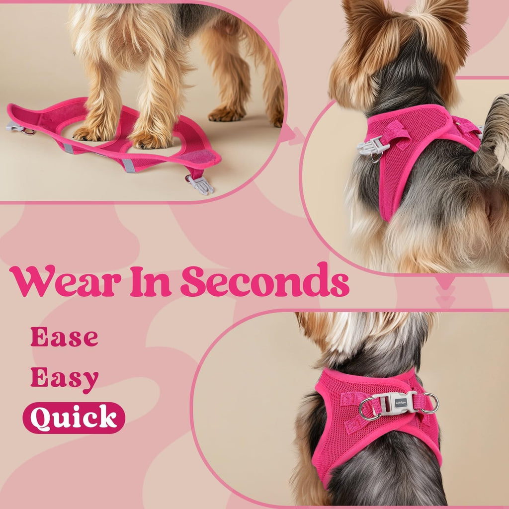 BunnyStep: Reflective Mesh Harness for Small Dogs -  by Handbags Specialist Headquarter | Available at Handbags Specialist Headquarter
