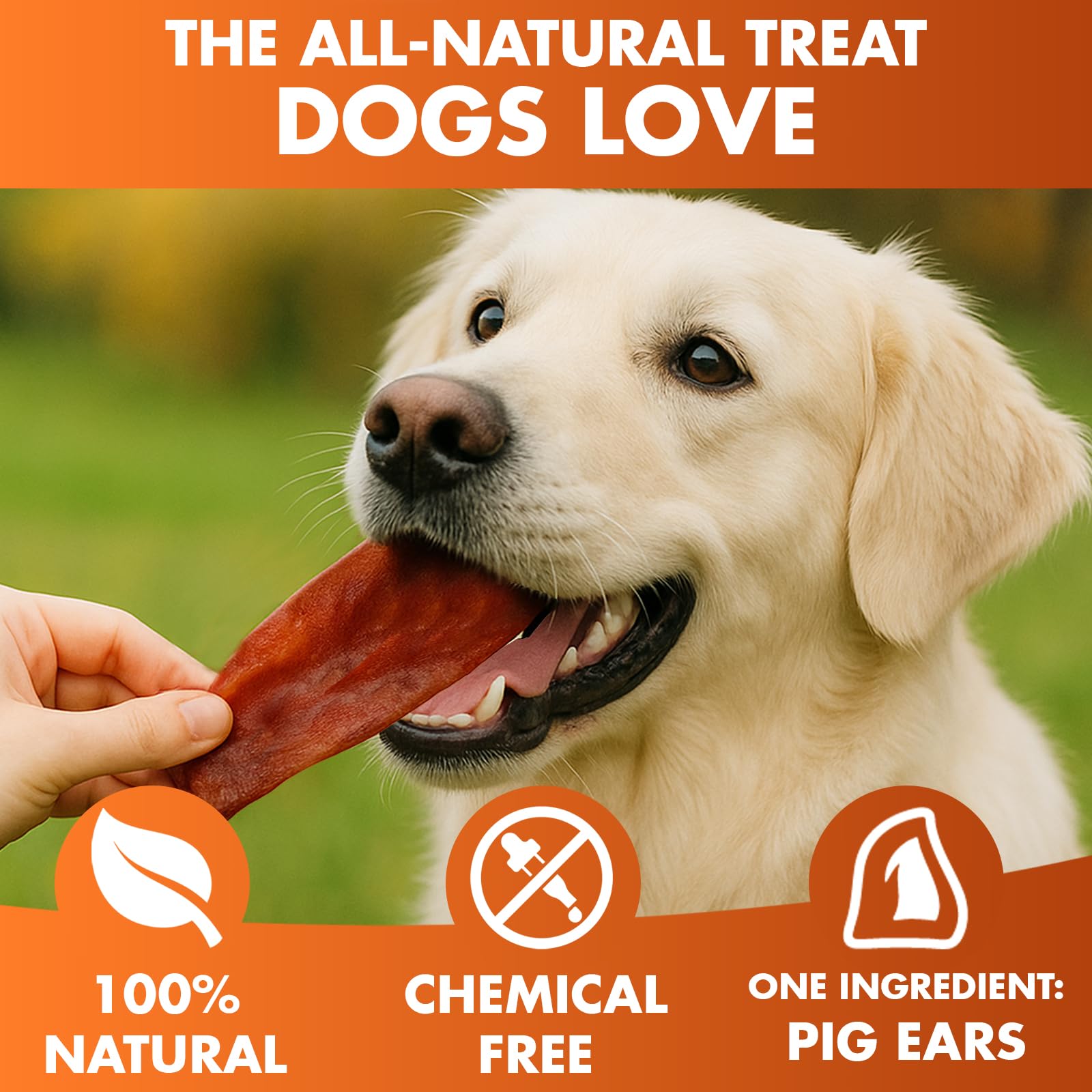 PawSavor Pig Ears: Natural, Tasty Chews for Dogs -  by Handbags Specialist Headquarter | Available at Handbags Specialist Headquarter