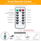 Minetom 300 LED Dimmable Fairy Curtain Lights - Decor by Handbags Specialist Headquarter | Available at Handbags Specialist Headquarter