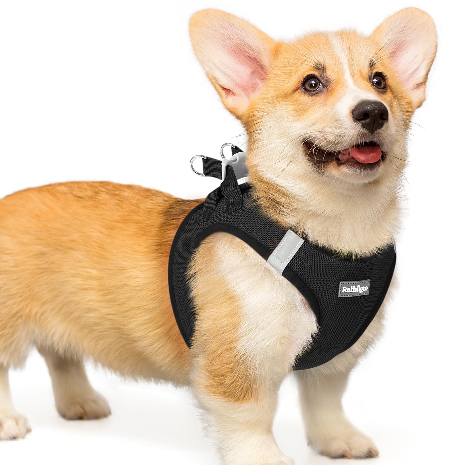 BunnyStep: Reflective Mesh Harness for Small Dogs -  by Handbags Specialist Headquarter | Available at Handbags Specialist Headquarter