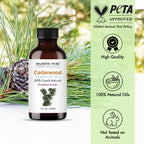 Majestic Pure Lavender Oil with Dropper 4oz - Health Care by Handbags Specialist Headquarter | Available at Handbags Specialist Headquarter