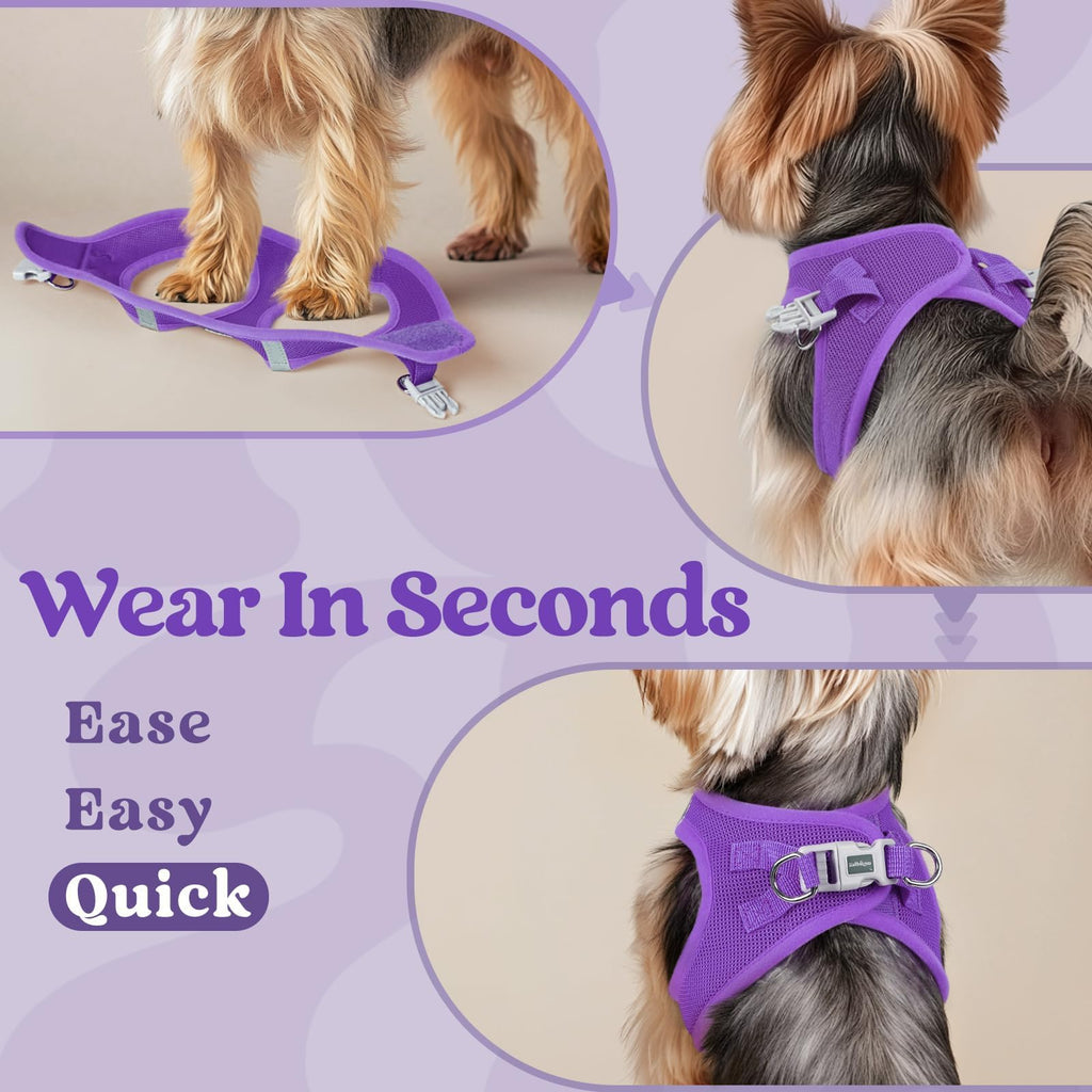 BunnyStep: Reflective Mesh Harness for Small Dogs -  by Handbags Specialist Headquarter | Available at Handbags Specialist Headquarter