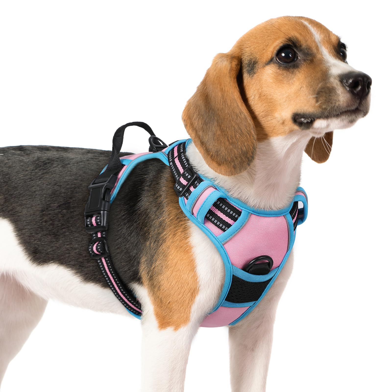 PawGuard No-Pull Reflective Dog Harness - Large Black -  by Handbags Specialist Headquarter | Available at Handbags Specialist Headquarter