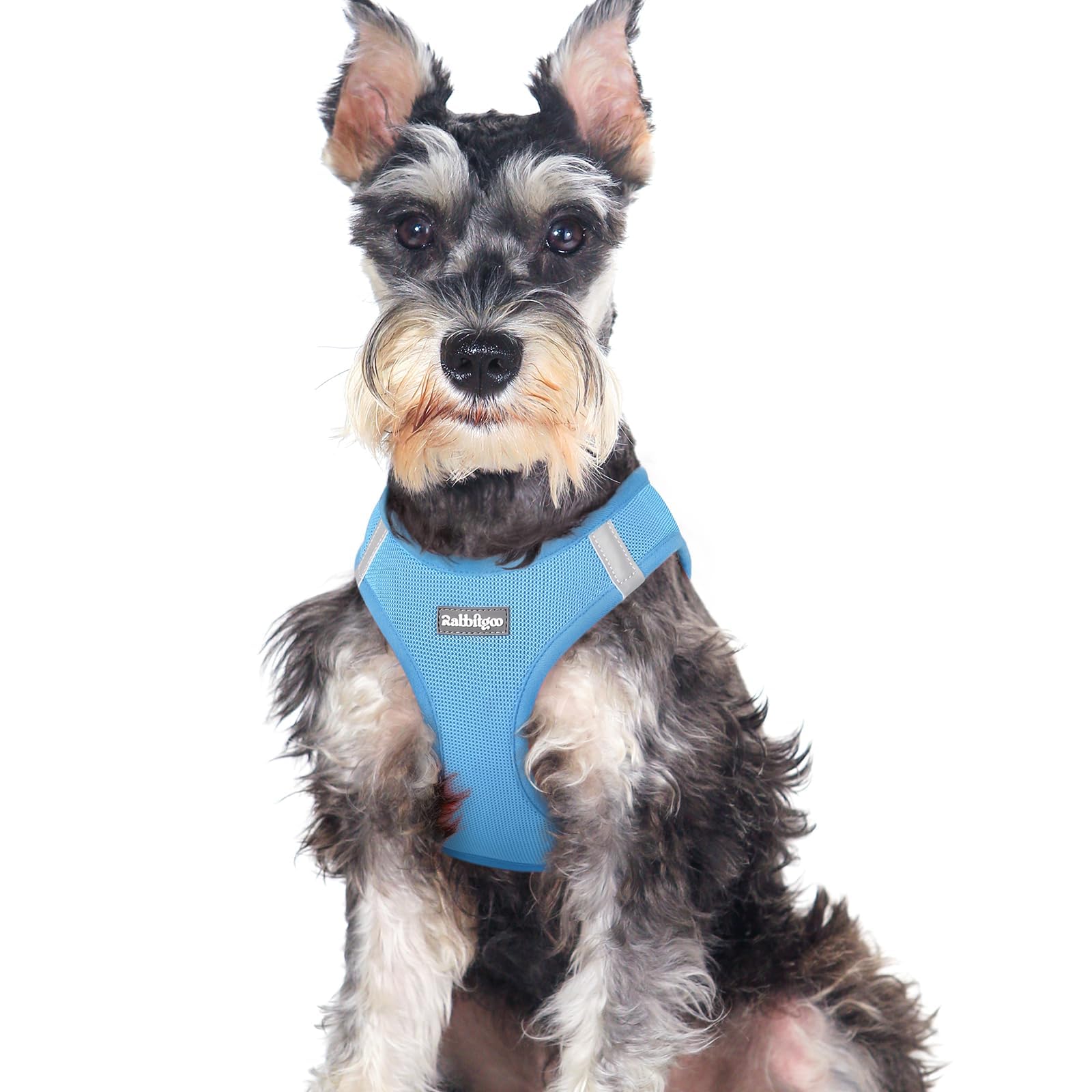 BunnyStep: Reflective Mesh Harness for Small Dogs -  by Handbags Specialist Headquarter | Available at Handbags Specialist Headquarter