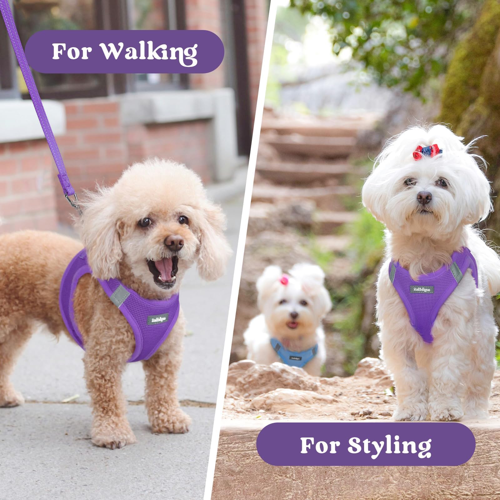 BunnyStep: Reflective Mesh Harness for Small Dogs -  by Handbags Specialist Headquarter | Available at Handbags Specialist Headquarter