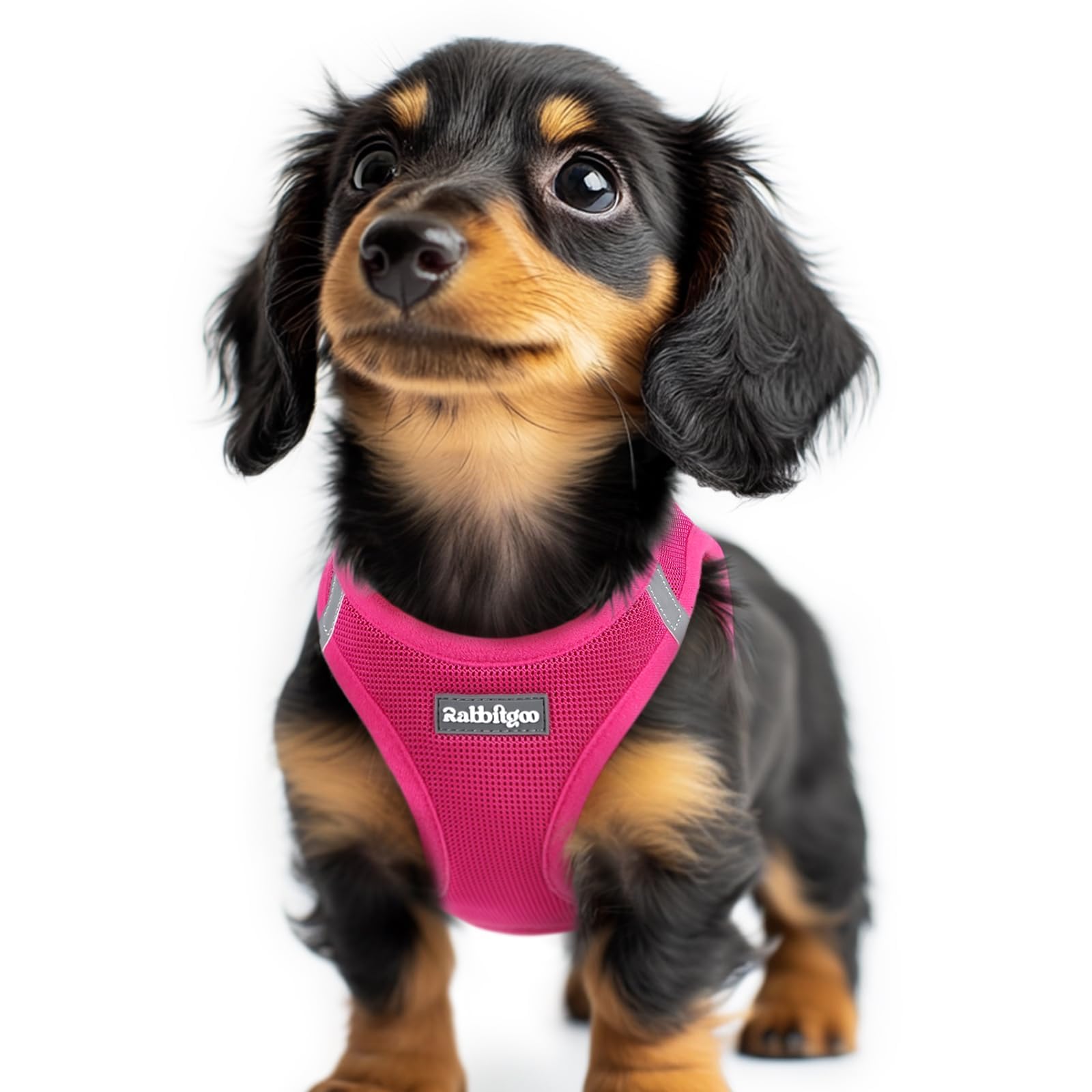 BunnyStep: Reflective Mesh Harness for Small Dogs -  by Handbags Specialist Headquarter | Available at Handbags Specialist Headquarter