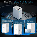 Vellgoo Energy Star Dehumidifier - Decor by Handbags Specialist Headquarter | Available at Handbags Specialist Headquarter