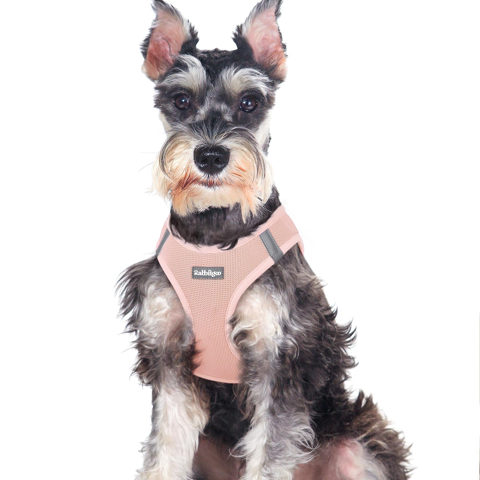 BunnyStep: Reflective Mesh Harness for Small Dogs -  by Handbags Specialist Headquarter | Available at Handbags Specialist Headquarter