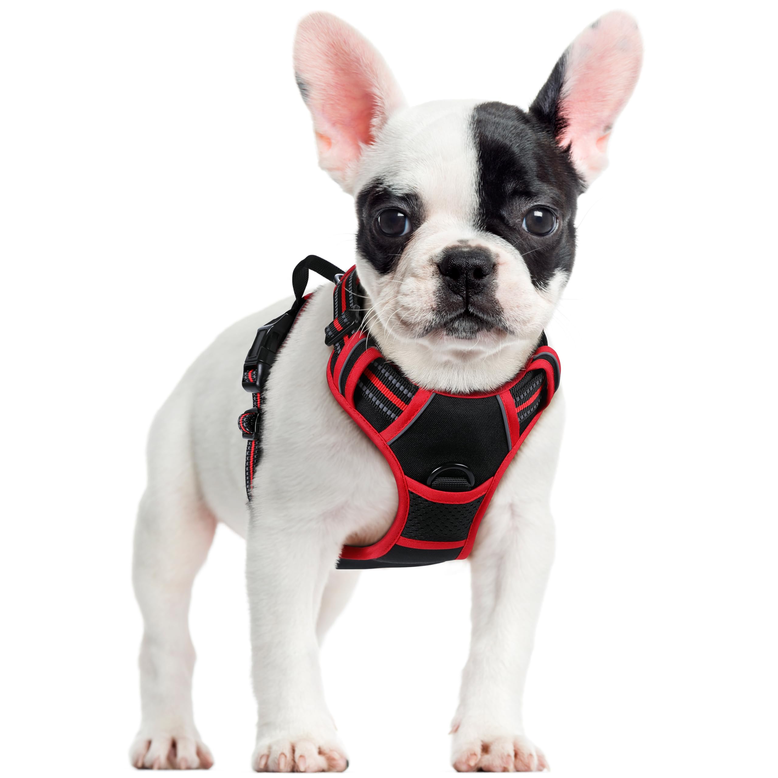 PawGuard No-Pull Reflective Dog Harness - Large Black -  by Handbags Specialist Headquarter | Available at Handbags Specialist Headquarter