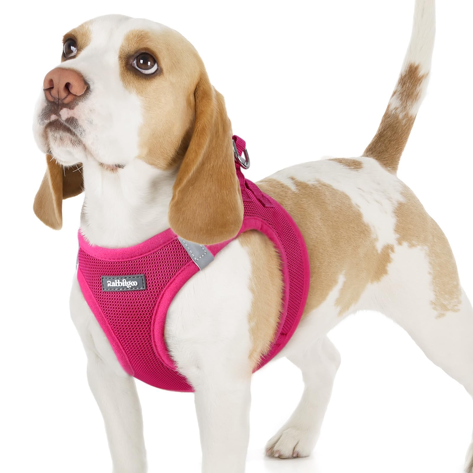 BunnyStep: Reflective Mesh Harness for Small Dogs -  by Handbags Specialist Headquarter | Available at Handbags Specialist Headquarter