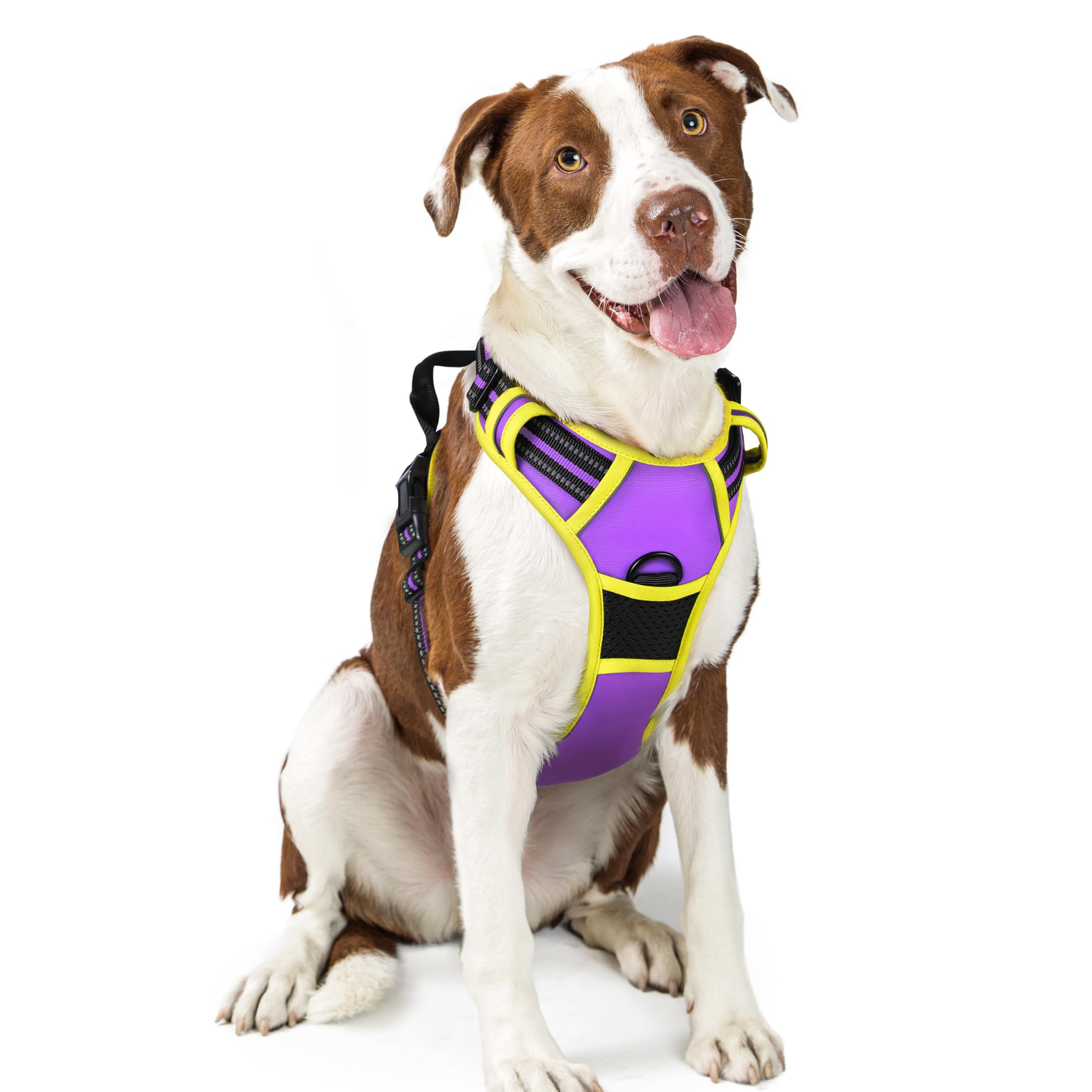PawGuard No-Pull Reflective Dog Harness - Large Black -  by Handbags Specialist Headquarter | Available at Handbags Specialist Headquarter