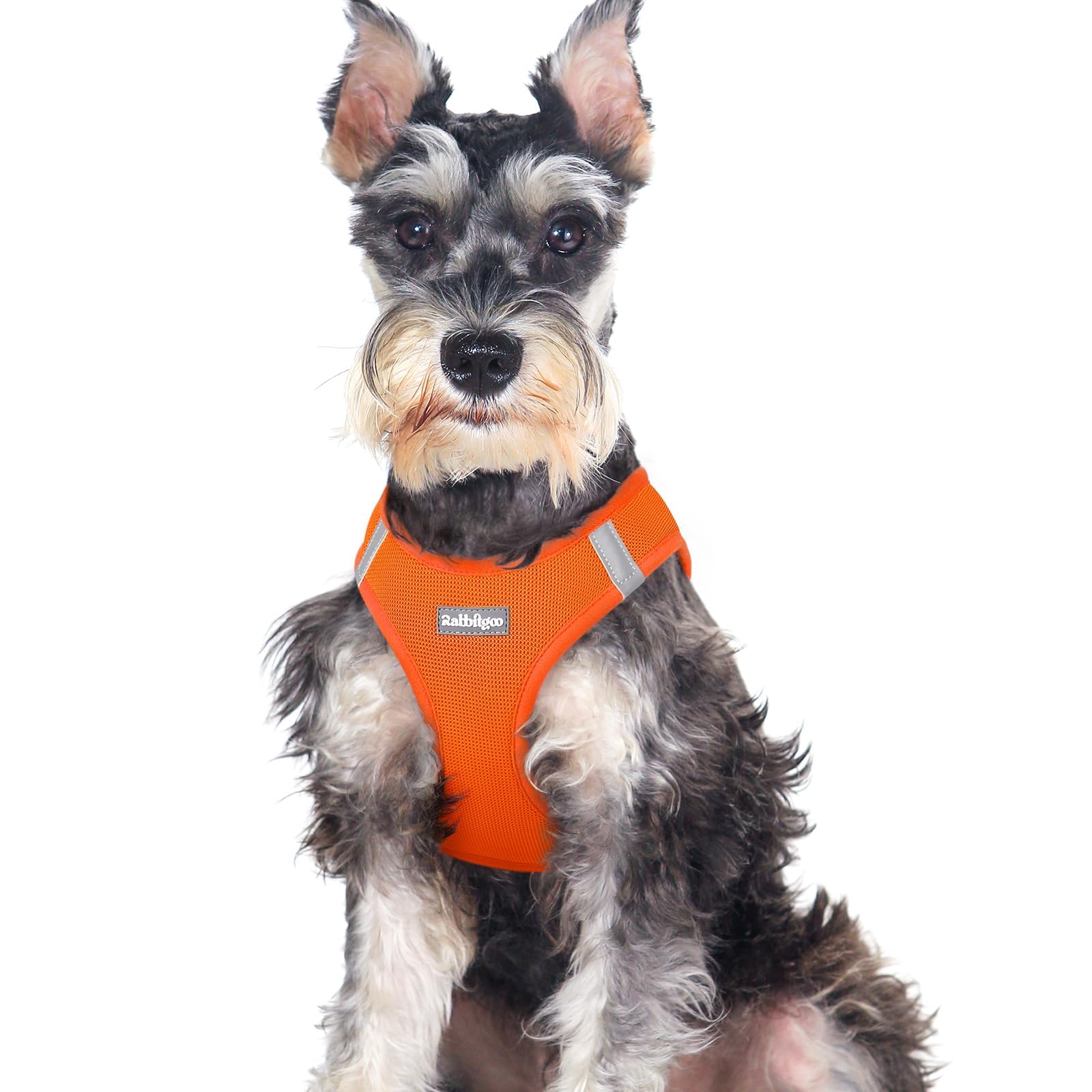 BunnyStep: Reflective Mesh Harness for Small Dogs -  by Handbags Specialist Headquarter | Available at Handbags Specialist Headquarter