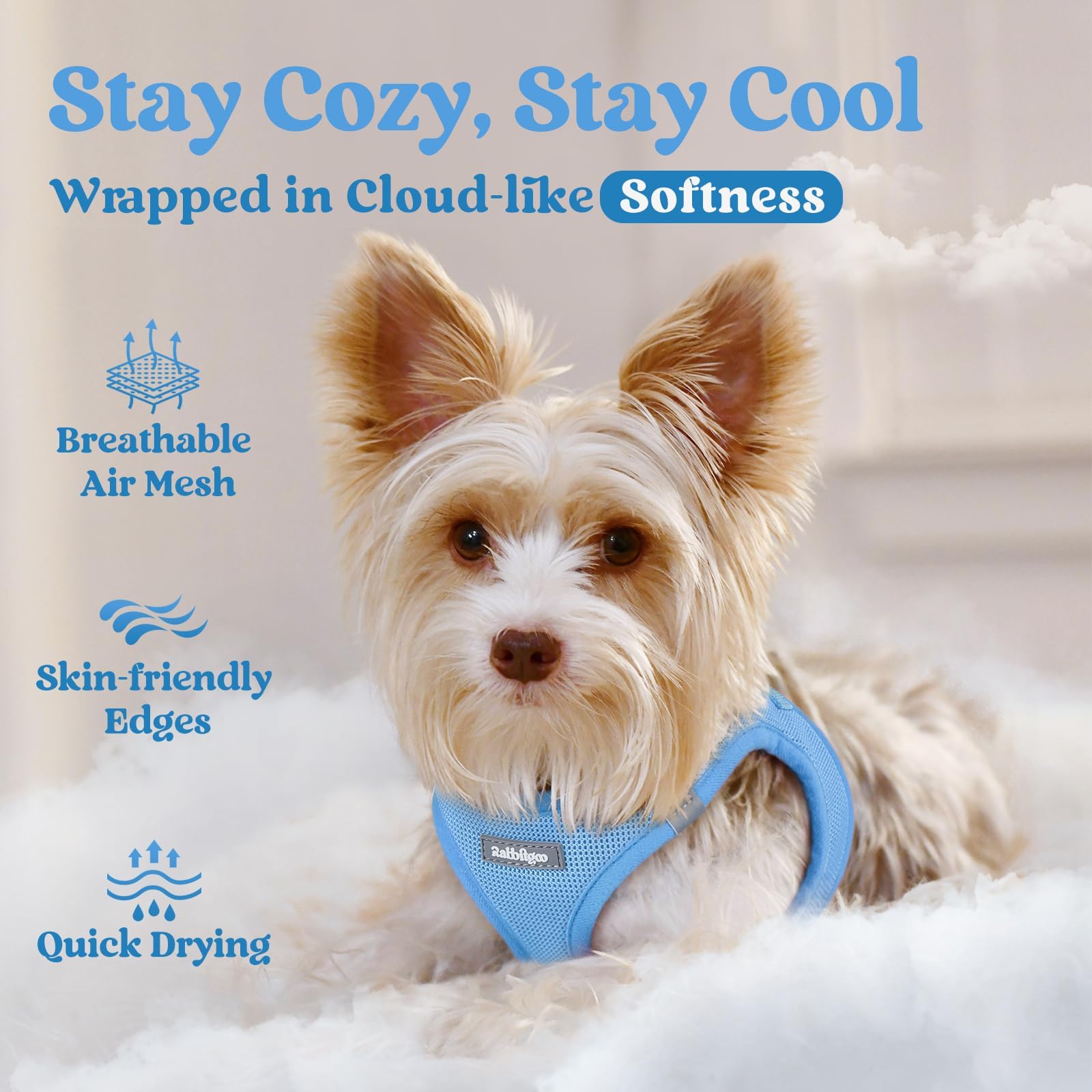 BunnyStep: Reflective Mesh Harness for Small Dogs -  by Handbags Specialist Headquarter | Available at Handbags Specialist Headquarter