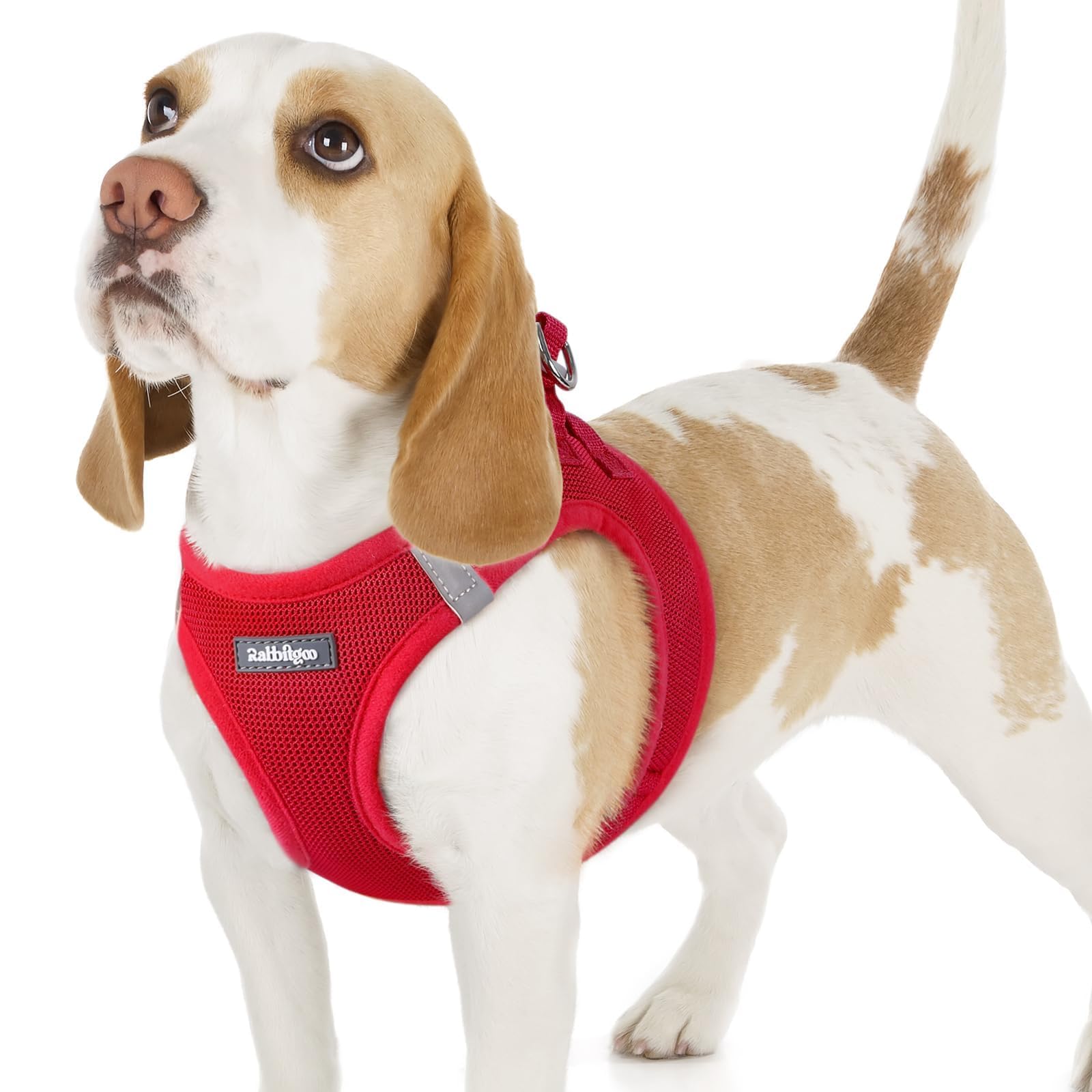 BunnyStep: Reflective Mesh Harness for Small Dogs -  by Handbags Specialist Headquarter | Available at Handbags Specialist Headquarter