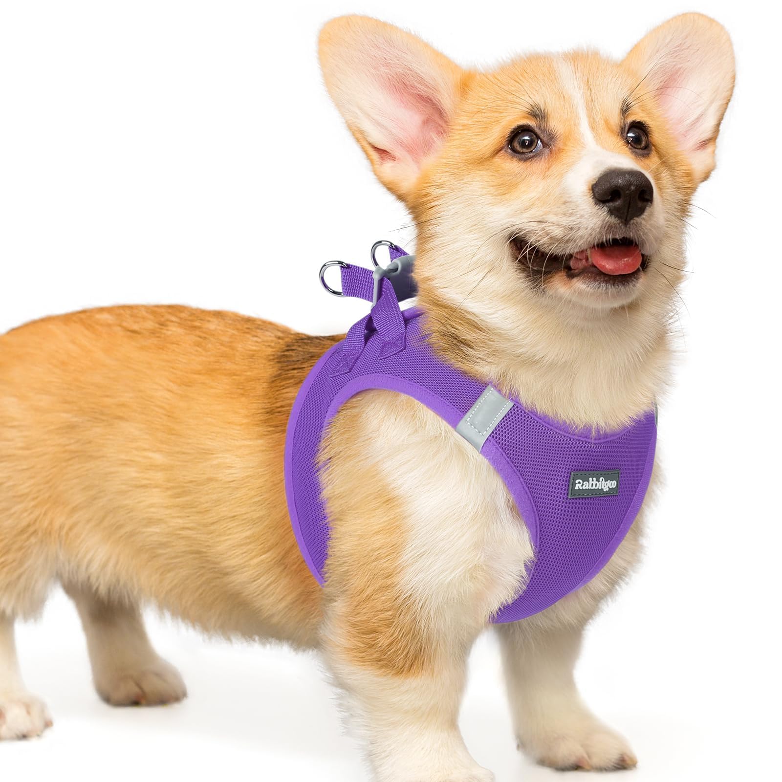 BunnyStep: Reflective Mesh Harness for Small Dogs -  by Handbags Specialist Headquarter | Available at Handbags Specialist Headquarter