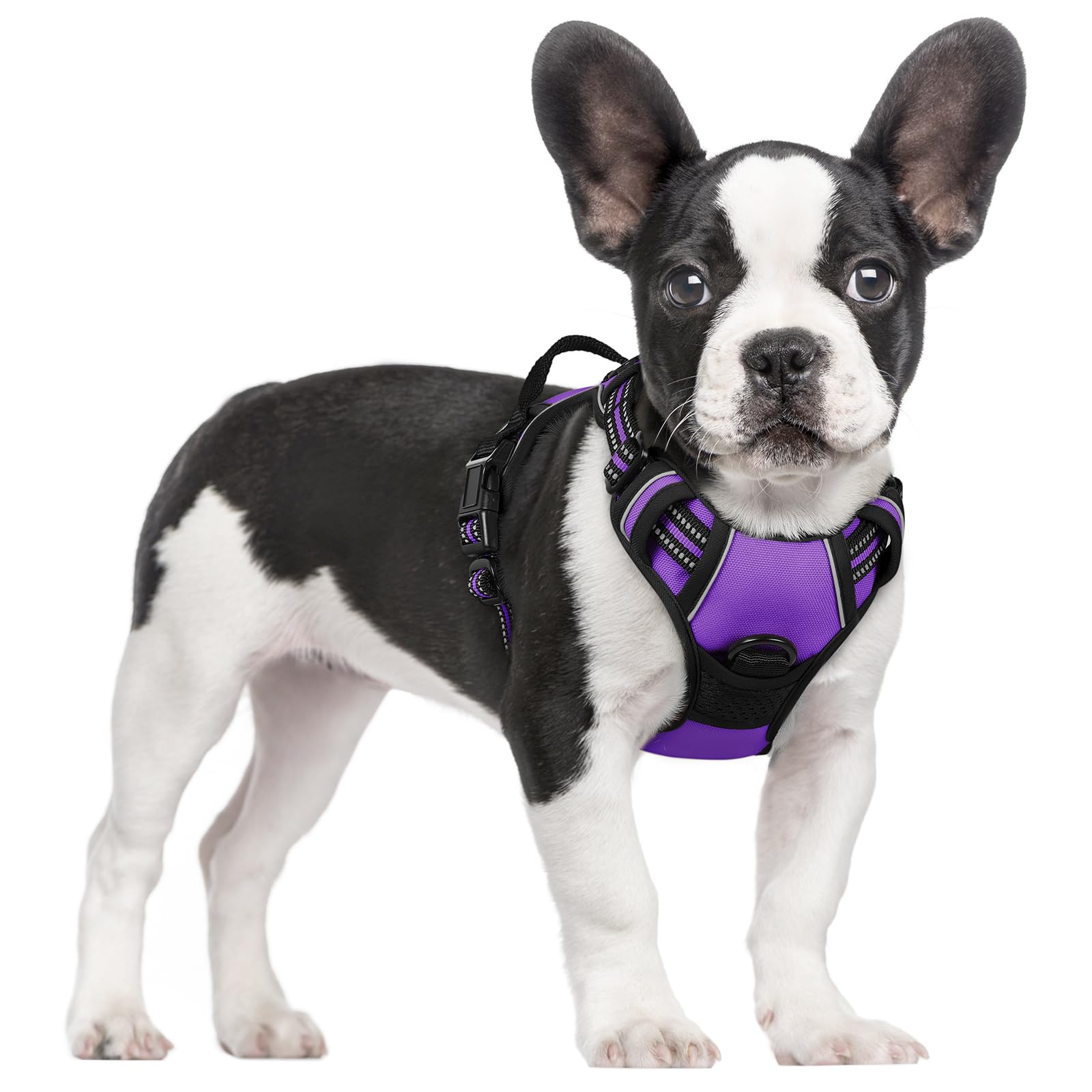 PawGuard No-Pull Reflective Dog Harness - Large Black -  by Handbags Specialist Headquarter | Available at Handbags Specialist Headquarter