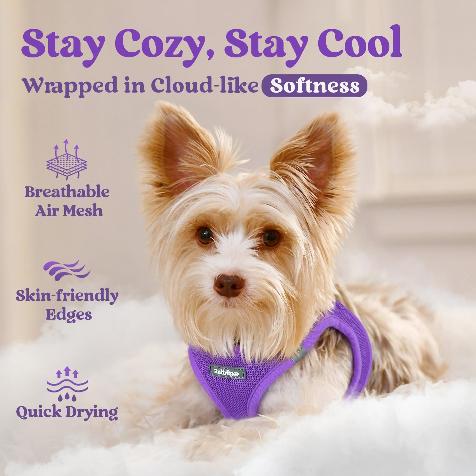 BunnyStep: Reflective Mesh Harness for Small Dogs -  by Handbags Specialist Headquarter | Available at Handbags Specialist Headquarter