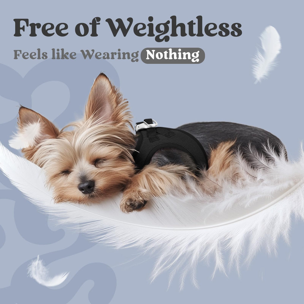 BunnyStep: Reflective Mesh Harness for Small Dogs -  by Handbags Specialist Headquarter | Available at Handbags Specialist Headquarter