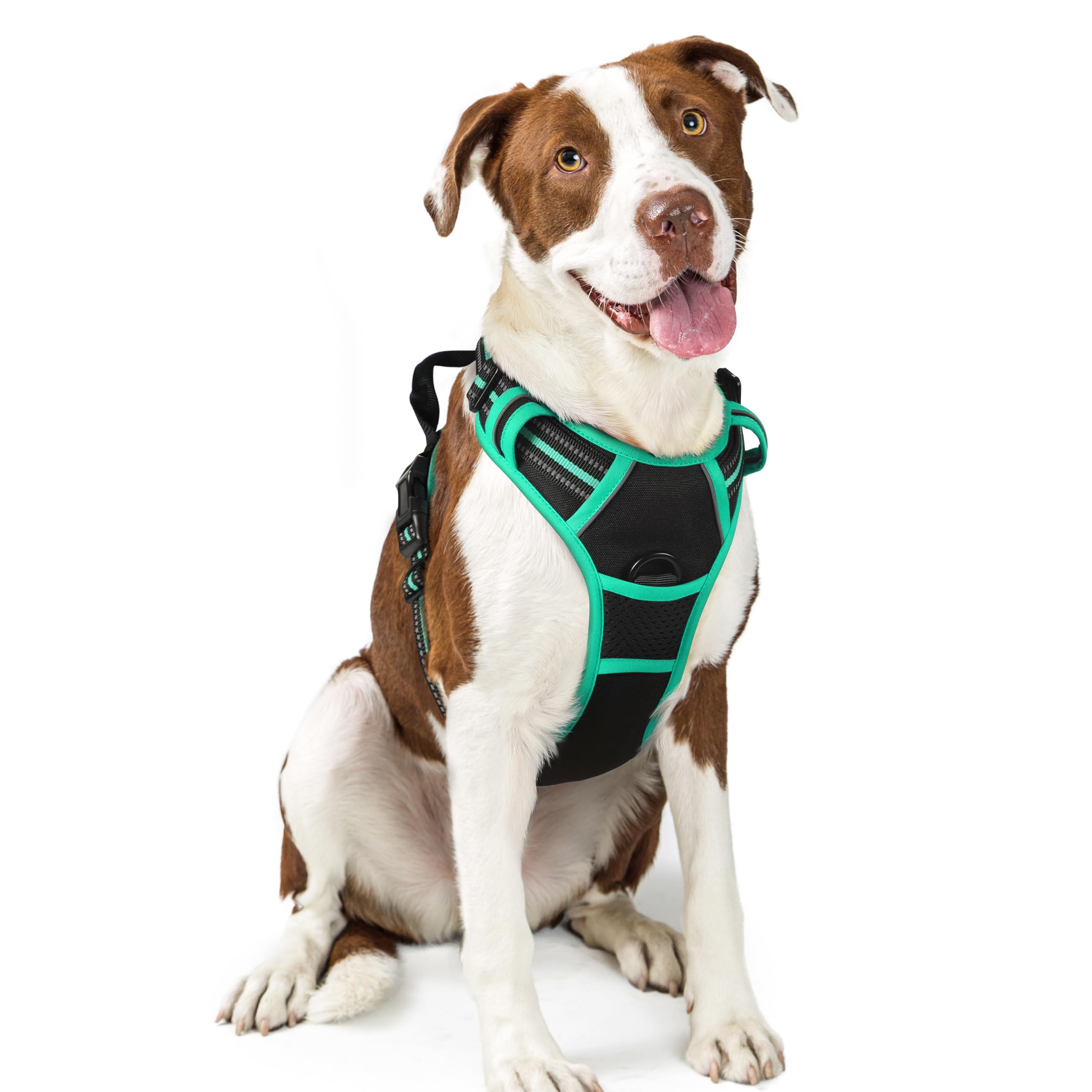 PawGuard No-Pull Reflective Dog Harness - Large Black -  by Handbags Specialist Headquarter | Available at Handbags Specialist Headquarter