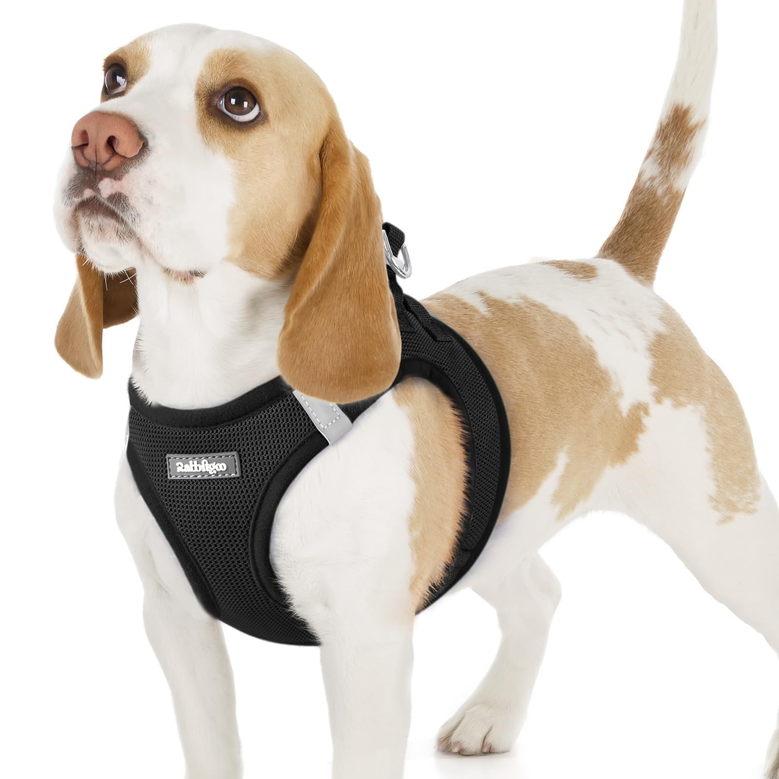 BunnyStep: Reflective Mesh Harness for Small Dogs -  by Handbags Specialist Headquarter | Available at Handbags Specialist Headquarter