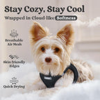 BunnyStep: Reflective Mesh Harness for Small Dogs -  by Handbags Specialist Headquarter | Available at Handbags Specialist Headquarter