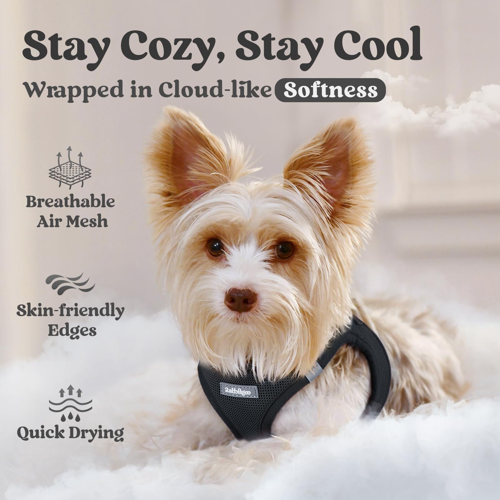 BunnyStep: Reflective Mesh Harness for Small Dogs -  by Handbags Specialist Headquarter | Available at Handbags Specialist Headquarter