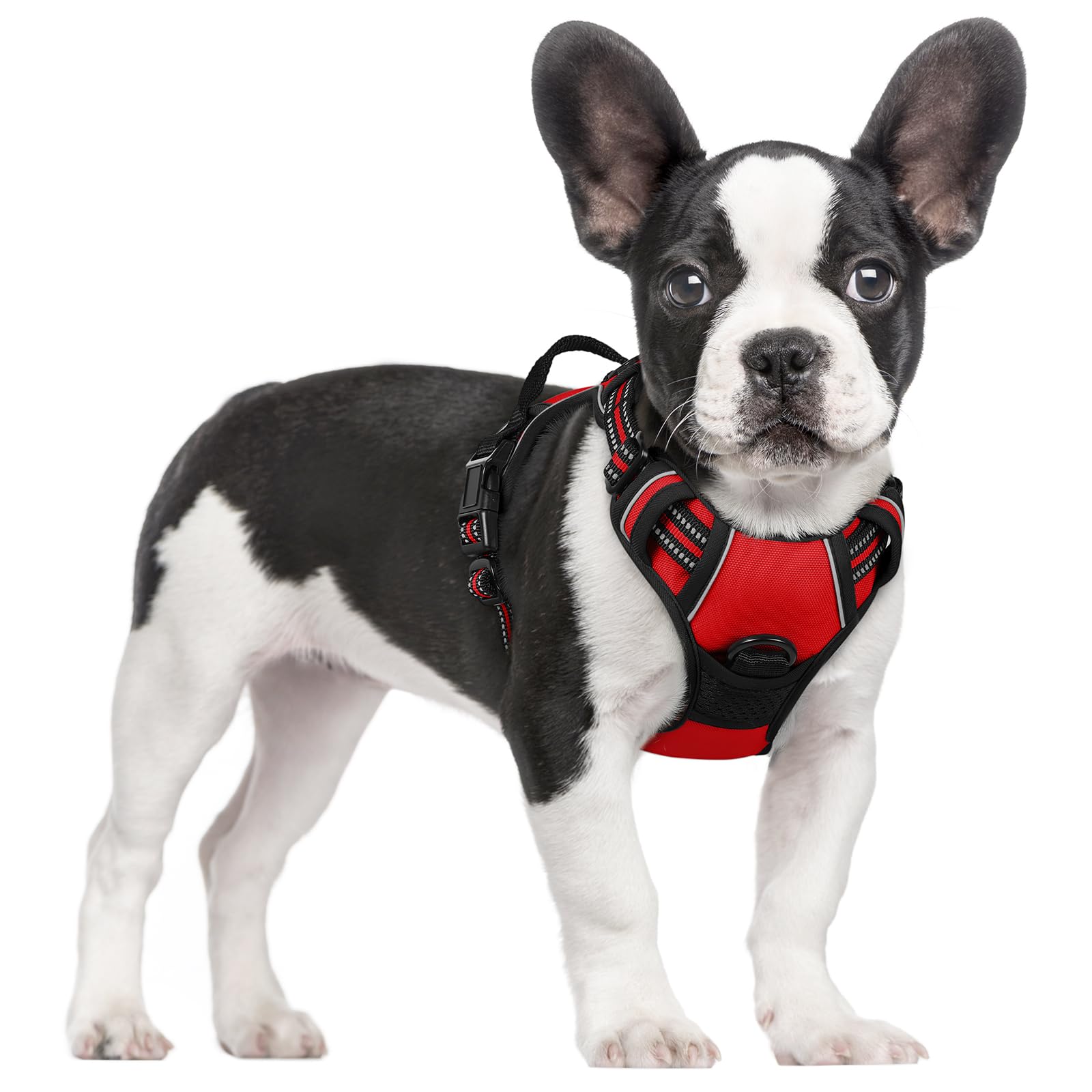 PawGuard No-Pull Reflective Dog Harness - Large Black -  by Handbags Specialist Headquarter | Available at Handbags Specialist Headquarter