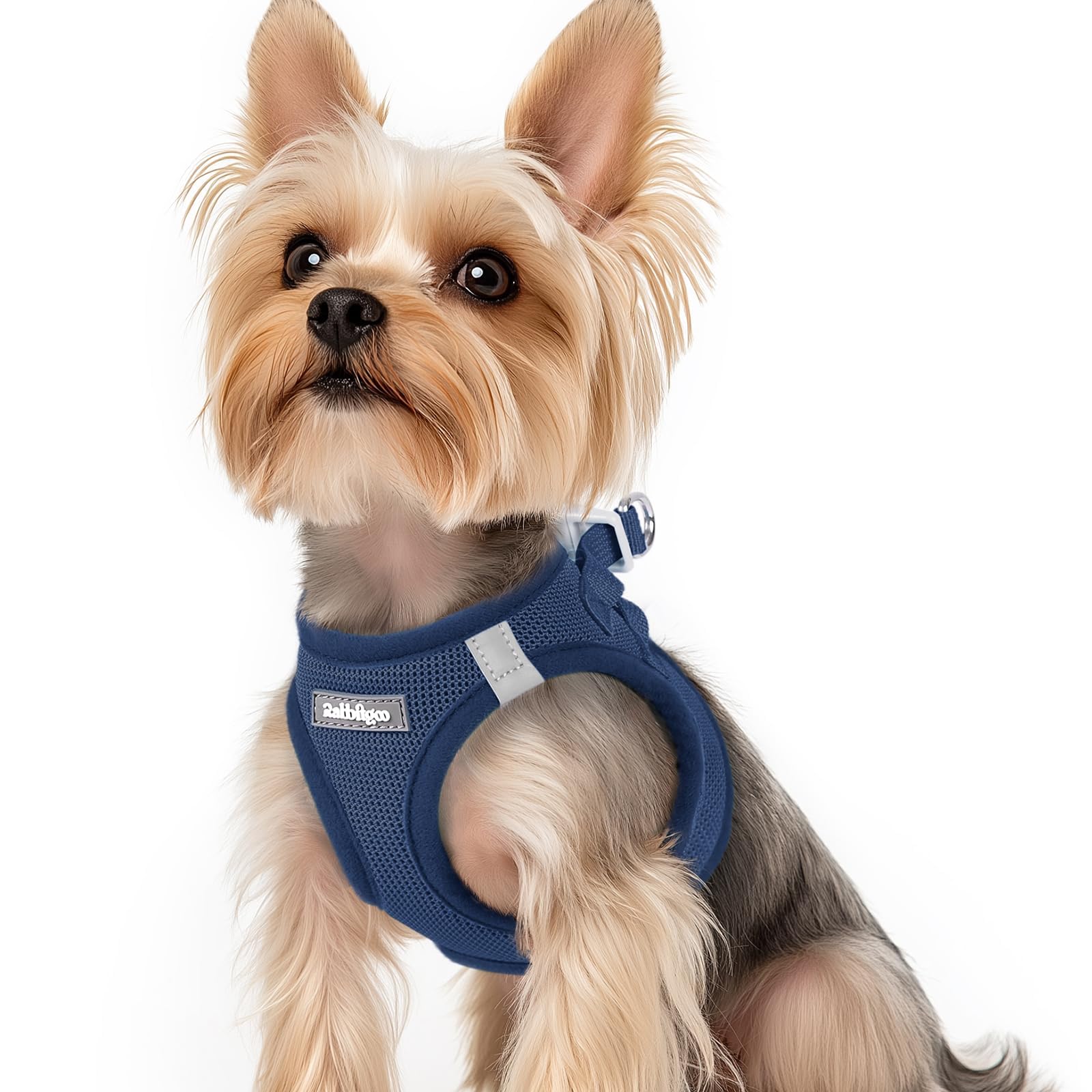 BunnyStep: Reflective Mesh Harness for Small Dogs -  by Handbags Specialist Headquarter | Available at Handbags Specialist Headquarter