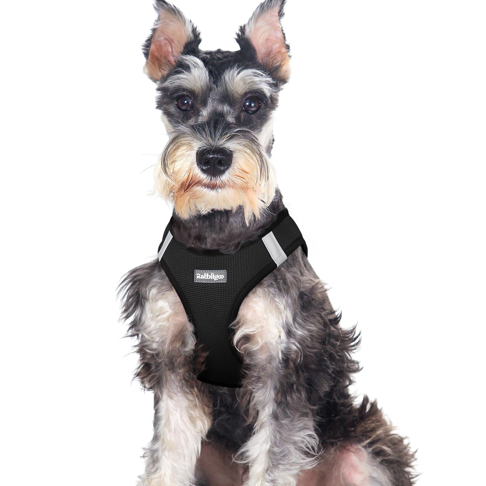 BunnyStep: Reflective Mesh Harness for Small Dogs -  by Handbags Specialist Headquarter | Available at Handbags Specialist Headquarter